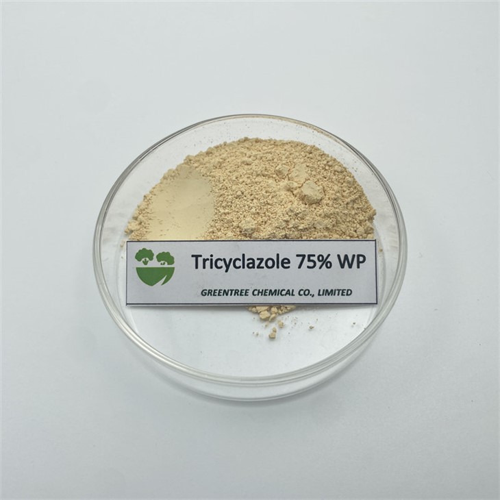Fungicid cu pulbere C9H7N3S Triciclazol 75% Wp