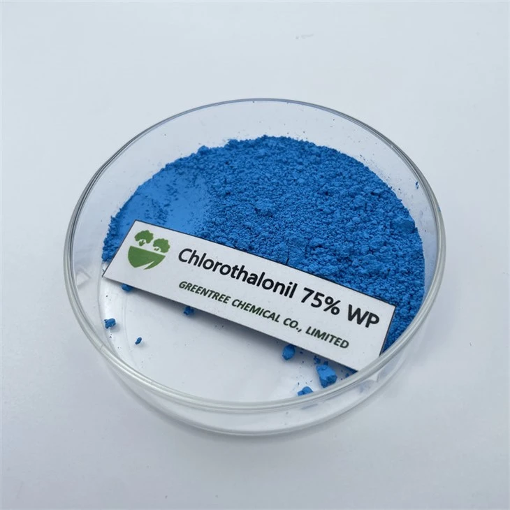 CAS NR. 1897-45-6 Fungicid Chlorothalonil 75% Wp Blue Powder