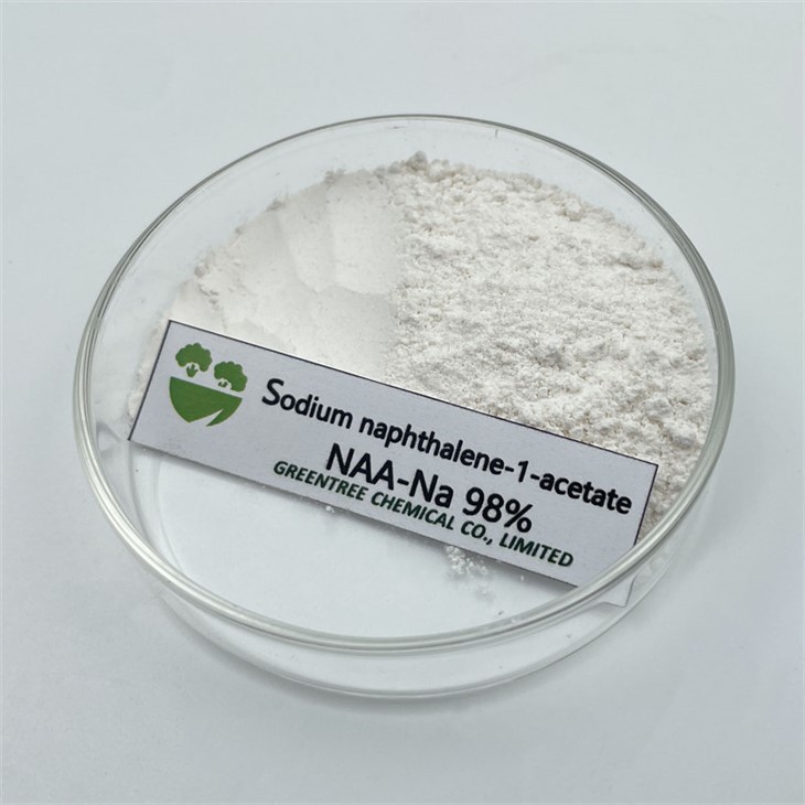 CAS No. 61-31-4 98%Tc Agricultural Growth Regulator Naa-Na Naphthaleneacetic Acid