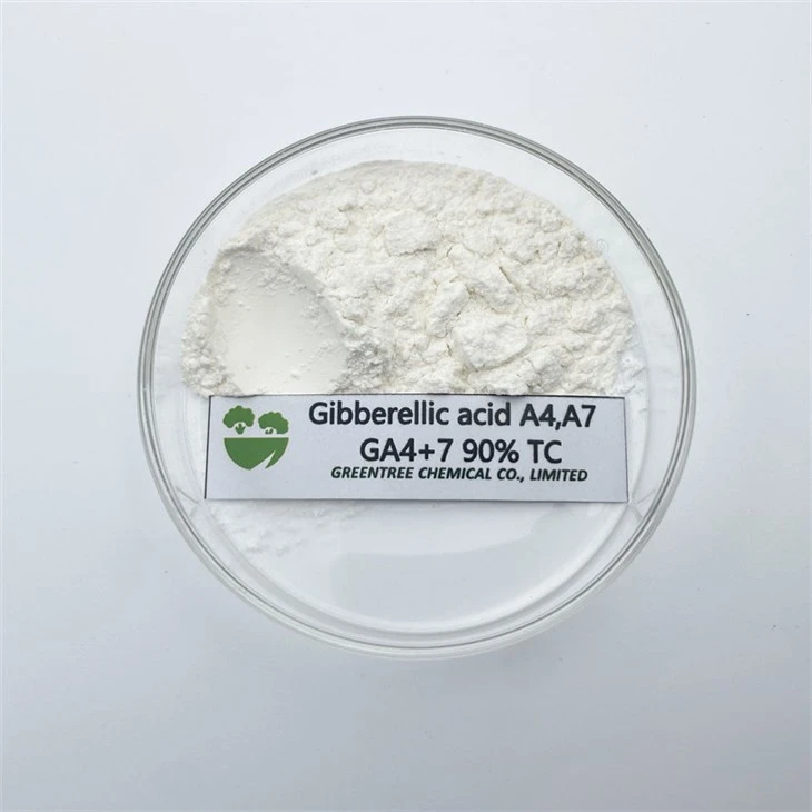 Ga4+7 90% Tc Giberelina Acid giberelic din agrochimic