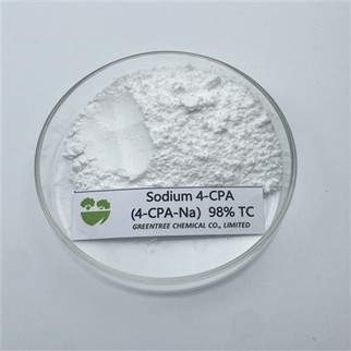 CAS NR. 13730-98-8 4-Sare de sodiu a acidului clorofenoxiacetic; 4-CPA-NA 98% solubil în apă