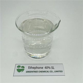 CAS NR. 16672-87-0 Regulator de creștere a plantelor pentru maturare ETHEPHON 480 G/l SL