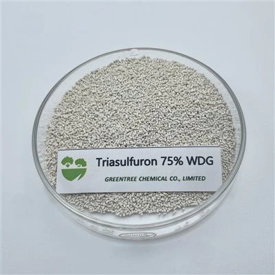 Erbicid Triasulfuron 75% Wdg Pentru combaterea buruienilor cu frunze late