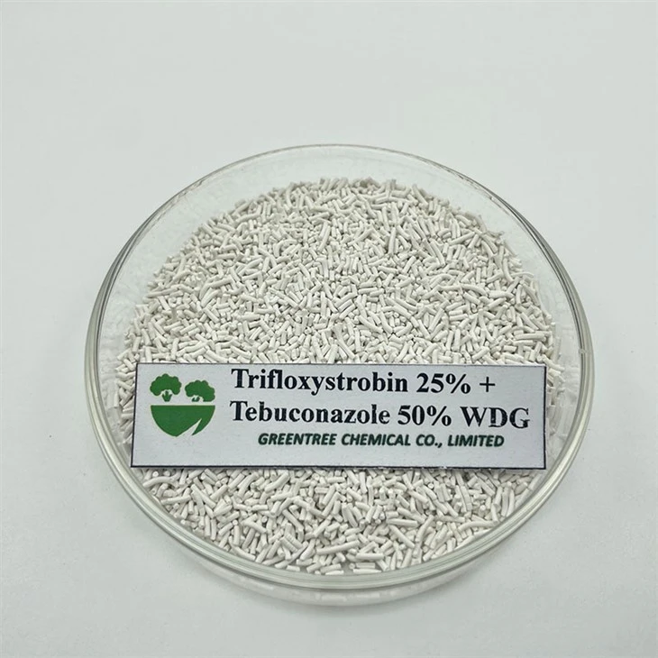 Amestec de înaltă calitate fungicid Trifloxistrobin 25% + Tebuconazol 50% WDG
